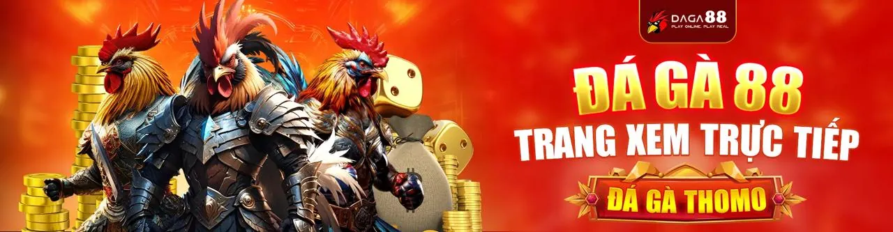 Hình ảnh đá gà trực tuyến kịch tính tại zbet88 win